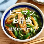 「ピーマン×お弁当」30選｜隙間おかずにも！
