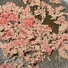 とろとろなすがたまらない♡我が家の麻婆なすの工程4
