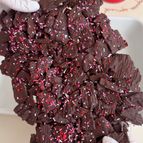 プリングルズチョコよりこっち！材料2つのじゃがチョコ