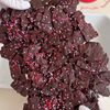 プリングルズチョコよりこっち!材料2つのじゃがチョコ