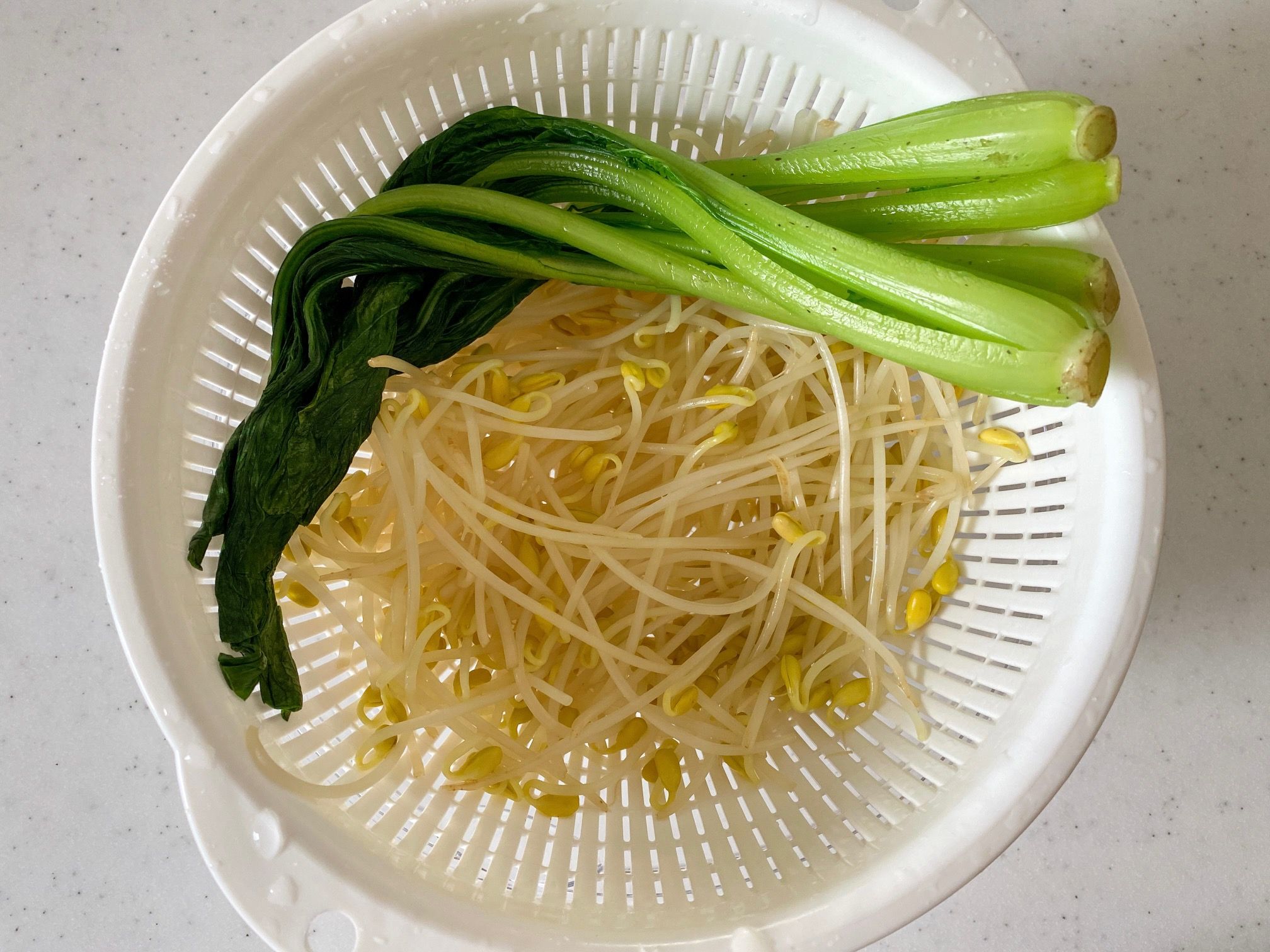 豆もやし様 20181224081049-300x225.jpg