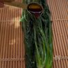ほうれん草の海苔あえの工程3