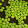 【こどもが食べる】グリンピースごはんの下準備