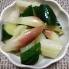 よっこの作ってみた!投稿(セロリ・茗荷・きゅうりの昆布茶漬け)