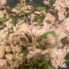 ミセス好きの二児の母の作ってみた!投稿(下味冷凍ＯＫ！豚こまとなすの絶品炒め)