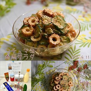 クラ蔵の作ってみた!投稿(【コチュマヨ春雨サラダ】ちくわときゅうりだけで激旨♪ハマる！)