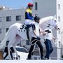 ピロピロピー🏇🐣
