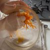 子どもが食べやすい！ひらひら人参の工程3