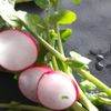 魅惑の牛肉の葱まみれ♪赤ワイン煮込みの工程10