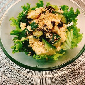 りんの作ってみた!投稿(【きゅうりと豆腐の海苔ドレサラダ】抱えて食べたくなる♪)