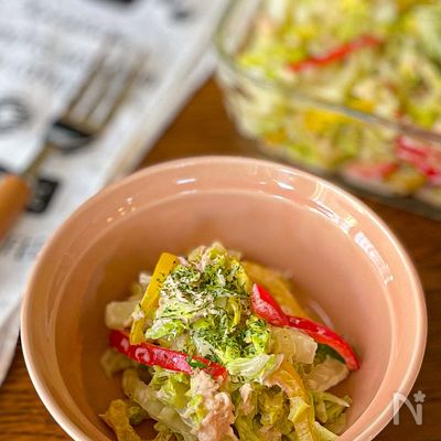 【5分で作れる!】白菜とパプリカのツナサラダ