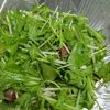 鶏皮坊主の作ってみた!投稿(焼肉屋さん風！【水菜とベーコンのやみつきサラダ】)