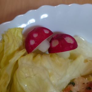 まゆのの作ってみた!投稿(【飾り切り】ラディッシュでキノコを作る方法)