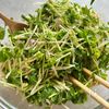 【10分でやみつき！】豆苗と新じゃがのペペロンサラダの工程3