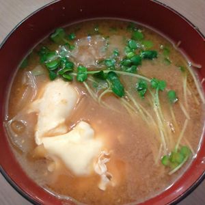 たりおの作ってみた!投稿(かいわれ大根の美味しい食べ方😋1位✨お味噌汁🤤🌱)