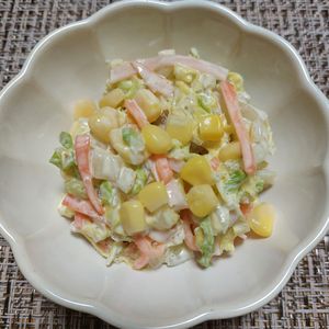 よっこの作ってみた!投稿(【白菜のコールスロー】あっという間に完食♪)
