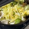 白だしで決まる！鶏肉と白菜の煮物の工程4