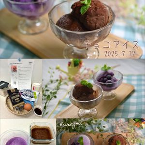 クラ蔵の作ってみた!投稿(生クリームなしでも濃厚【至福のチョコアイス】)