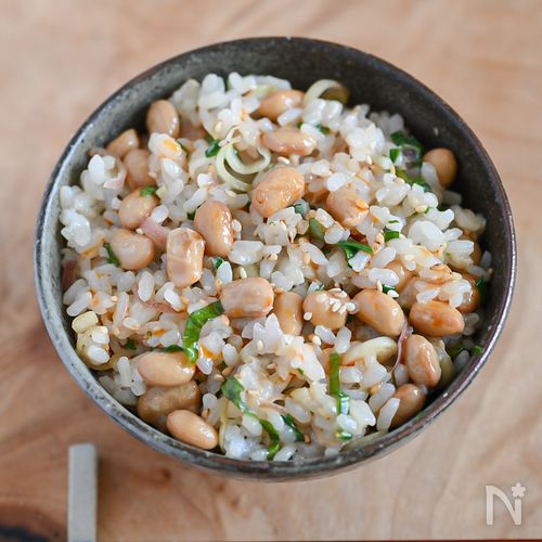 大人のおいしさ♪薬味たっぷり納豆ごはん