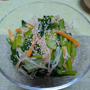 からこの作ってみた!投稿(焼肉屋さん風《小松菜とえのきと人参♡旨塩ナムル》)