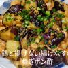 1/アラ還の手習いの作ってみた!投稿(【節約・時短!絶品だれ】厚揚げと揚げない揚げなすのねぎポン酢)
