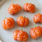 ハロウィンかぼちゃの【サーモン寿司】