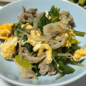 しんやの作ってみた!投稿(【豚こま小松菜もやしのスタミナ炒め】ご飯がすすむ町中華風)