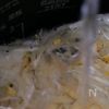 【低温調理でとうもろこしの冷製スープ】鍋もレンジも不要!の工程3