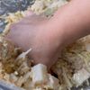 【豆腐の野菜たっぷり餅入り米粉お好み焼き】節約/子どもウケの工程4
