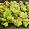あっこの作ってみた!投稿(【5分でやみつきそら豆】簡単おつまみ!そら豆ペペロンチーノ)