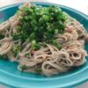 ノリコの作ってみた!投稿(ネギおかかdeねこまんま風そうめん【#簡単 #節約】)