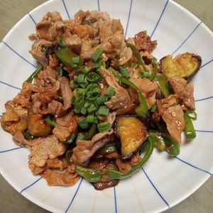 鶏皮坊主の作ってみた!投稿(【天才的に旨い♡なすと豚バラの韓国風炒め】じゅわとろっ！最高)
