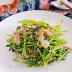 レンジ1分作り置き！豆苗のオイスターソース和え