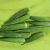 レンジで1分半！【オクラとツナのごまマヨサラダ】簡単やみつきの工程1