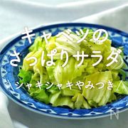 「キャベツのさっぱりサラダ」30選｜シャキシャキやみつき