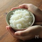 うるち米とは？もち米との違いや特徴を解説