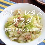「ツナ×レタスのサラダ」25選｜野菜不足のときにも◎