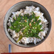 ごはんに！豆腐に！大葉のピリ辛しょうゆ漬け