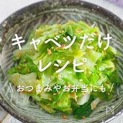 「キャベツだけで作れる」レシピ30選｜おつまみやお弁当にも