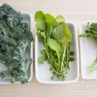よく見るあの野菜どう使う？おしゃれ葉物野菜の活用術