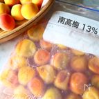 【ジップ式袋で作れる】失敗しない減塩梅干し作り＊入門編梅漬け