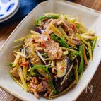 ご飯泥棒☆豚こまと茄子ピーマンのピリ辛みそ炒め♪香味ねぎ絡め