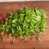 最強腸活！【ねばねばキムチ納豆苗】の工程1