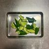 【きゅうりの白だし漬け〜カレーマヨ風味＆わさリーブ風味】の工程1
