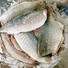 フライパンで絶品【鯵のバジルチーズ焼き】ごはんやパンに合う◎の工程1
