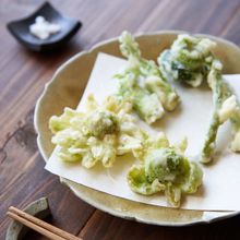 サクッと揚げるコツも紹介！山菜の天ぷら