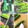 白だしで簡単！【旨だしオクラ】の下準備