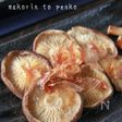 簡単！ふっくら美味しい＊焼きしいたけ