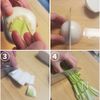 レモンとかぶの浅漬けの工程1