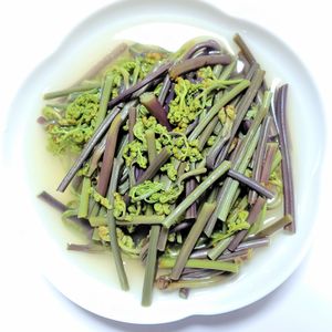 ふうかの作ってみた!投稿(わらびの白だしさっと煮＊簡単便利な保存法)
